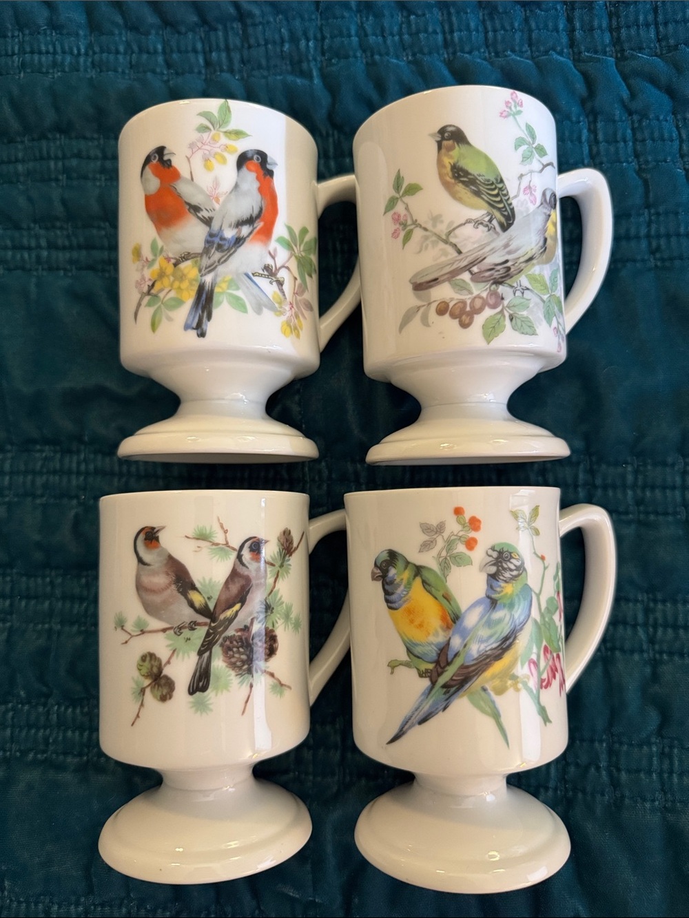 White Pedestal Mugs with Multicolor Bird Illustrations (Set of 4) birds art mugs